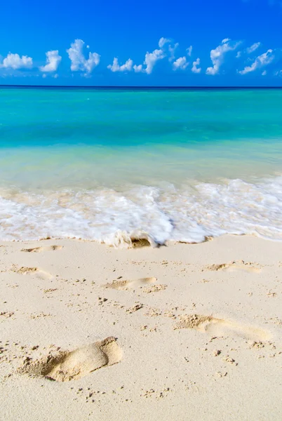 Playa y mar tropical — Foto de Stock