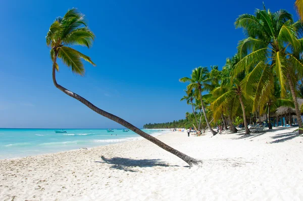 Tropical sea and sky — Stock Photo, Image