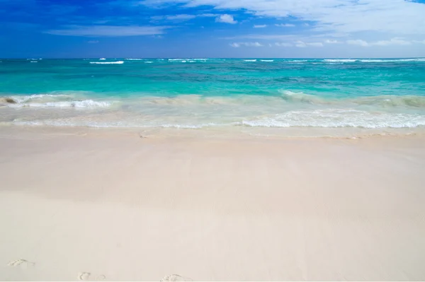 Playa y mar tropical —  Fotos de Stock