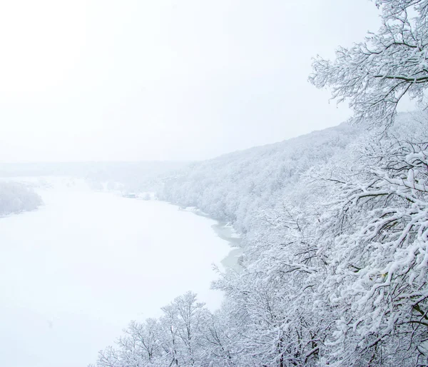 Paisaje de invierno con árboles — Foto de Stock