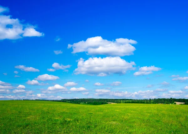 Grüne Wiese und blauer Himmel — Stockfoto