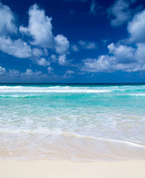 Plage de la mer du Labrador bleu — Photo