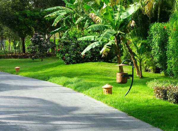 Sentiero giardino con erba — Foto Stock