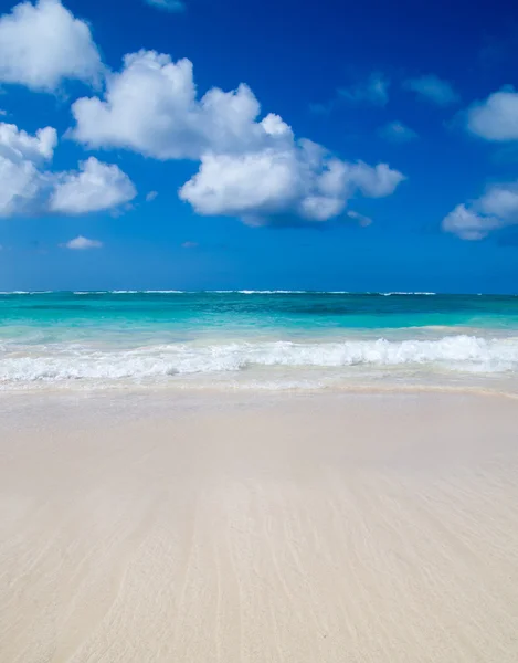 Spiaggia di mare dei fagioli aribici — Foto Stock