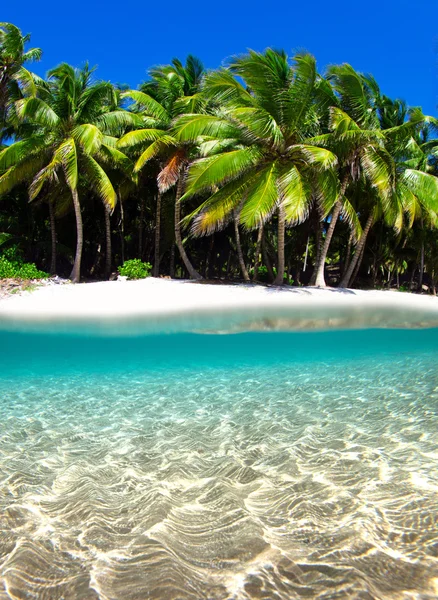 Playa y mar tropical — Foto de Stock