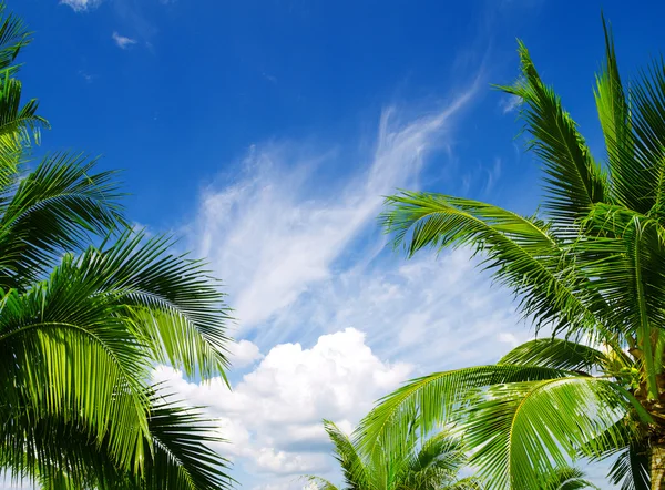 Wolken in de blauwe lucht — Stockfoto