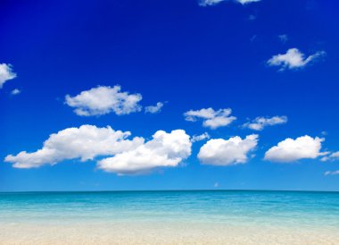 plaj ve tropikal deniz