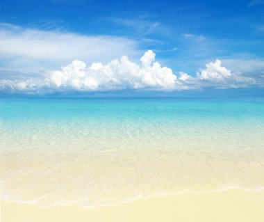 plaj ve tropikal deniz