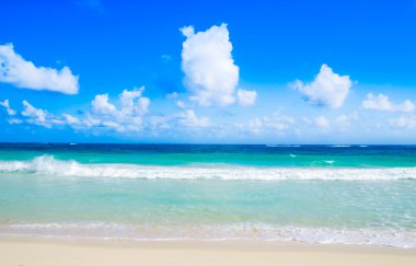 plaj ve tropikal deniz