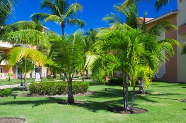 Güzel yeşil bahçe