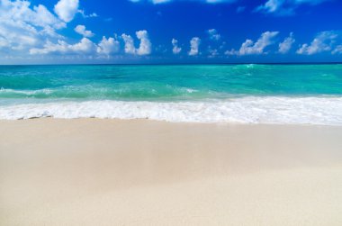 plaj ve tropikal deniz