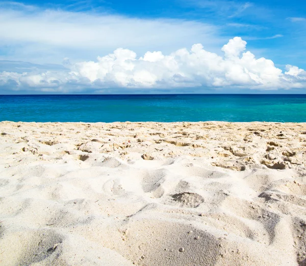 Playa y mar tropical — Foto de Stock