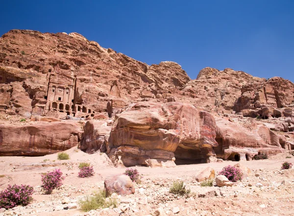 Rock cut architecture in Petra — Stock Photo, Image