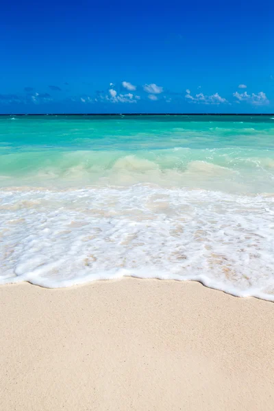 Mare tropicale e cielo blu — Foto Stock