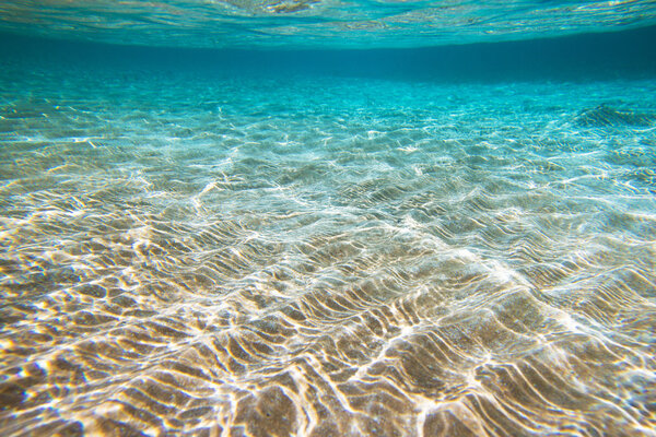 Tranquil underwater scene