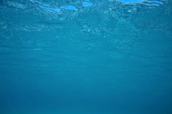 Tranquila escena submarina —  Fotos de Stock