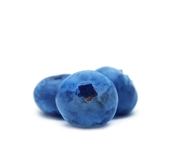 Three fresh blueberries — Stock Photo, Image