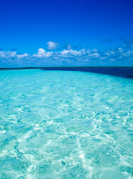 Playa y mar tropical — Foto de Stock