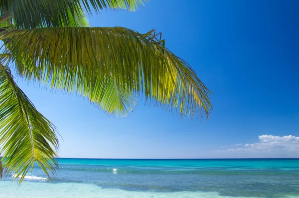 Beach and tropical sea — Stock Photo, Image