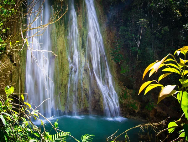 Waterfall in  green forest — Stock Photo, Image