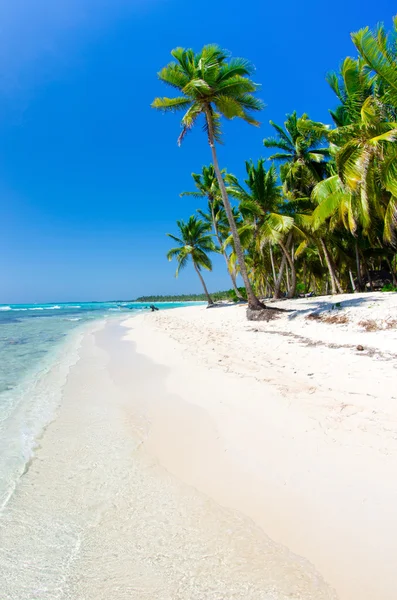 Playa y mar tropical — Foto de Stock