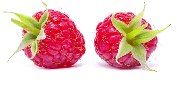 Rote frische Himbeeren lizenzfreie Stockfotos