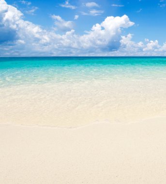 plaj ve tropikal deniz