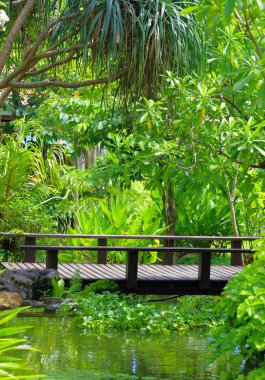 Yeşil bahçe çim ile