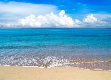 plaj ve tropikal deniz