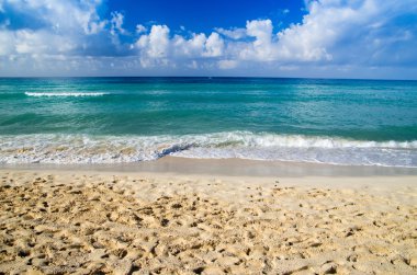 plaj ve tropikal deniz