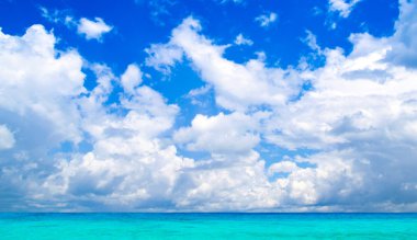 plaj ve tropikal deniz