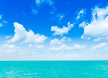 plaj ve tropikal deniz