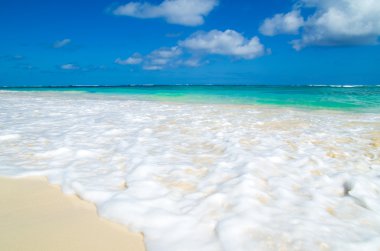 plaj ve tropikal deniz