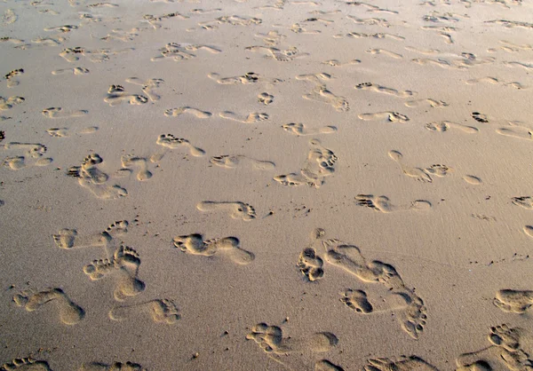 Κοραλλιογενείς άμμο φόντο — Φωτογραφία Αρχείου