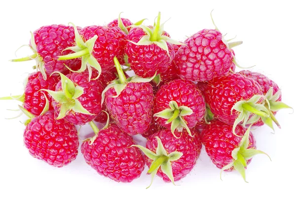红色新鲜树莓 — 图库照片