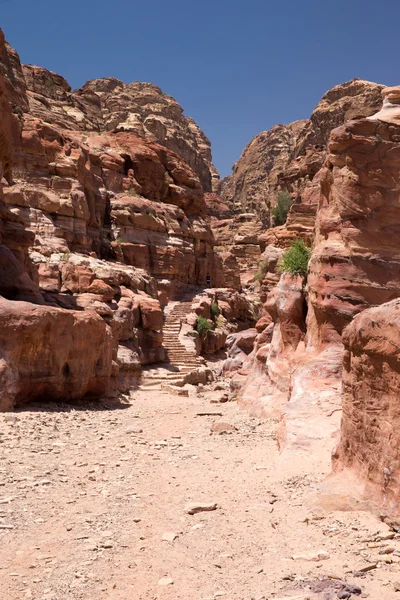 Red rock formations in Petra — Stock Photo, Image