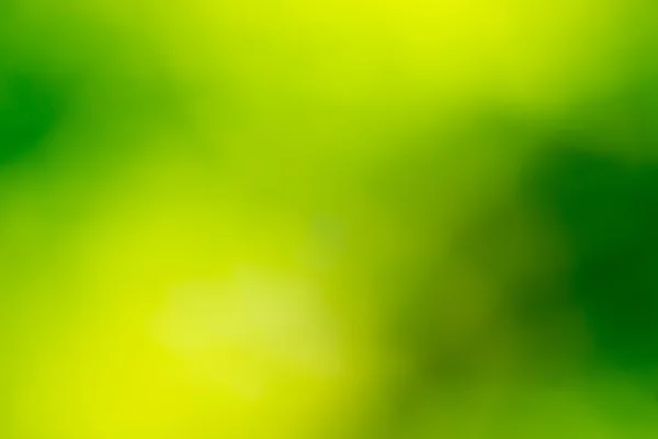 Verschwommener grüner Hintergrund — Stockfoto