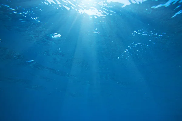 Spokojny podwodne scene — Zdjęcie stockowe