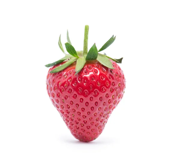 One red strawberry — Stock Photo, Image