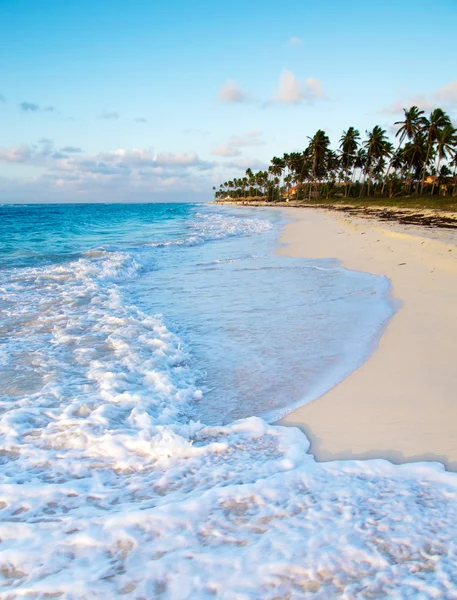 Caribbean  beach and sea — Stock Photo, Image