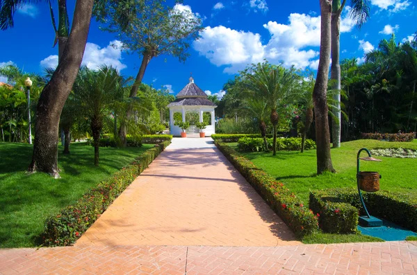 Stone path with grass — Stock Photo, Image