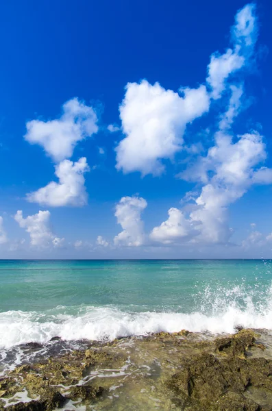 Strand en tropische zee — Stockfoto