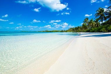 plaj ve tropikal deniz