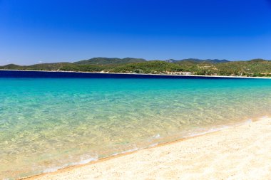 plaj ve tropikal deniz