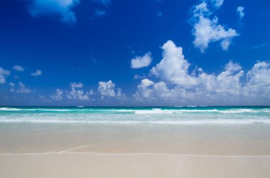 plaj ve tropikal deniz