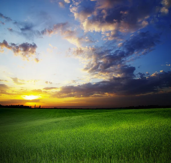 Nuages sur le champ avec de l'herbe — Photo