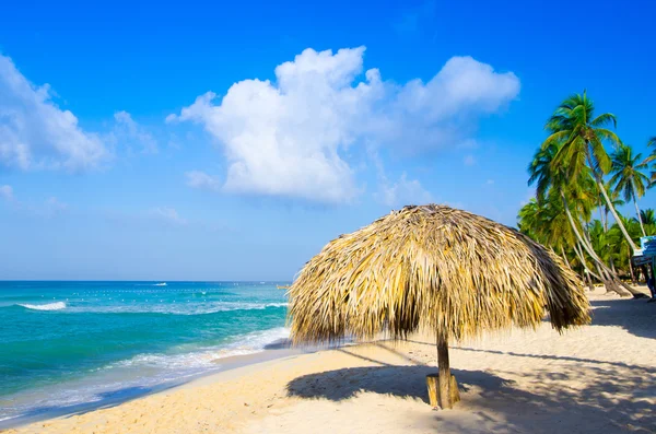 Spiaggia e mare tropicale — Foto Stock