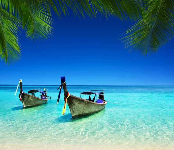 Playa y mar tropical — Foto de Stock