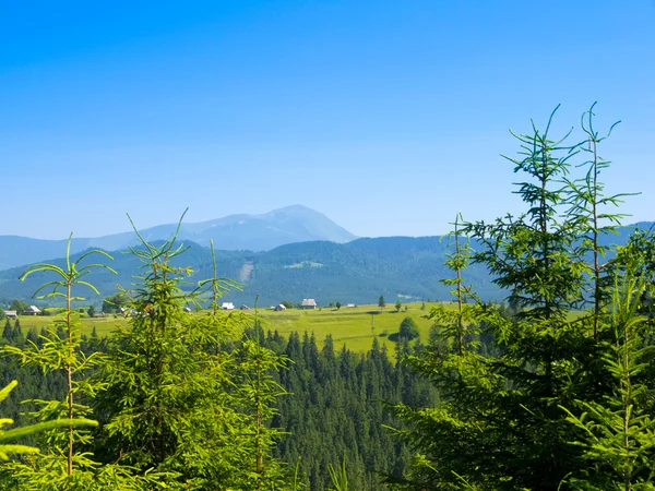 Montagna paesaggio estivo — Foto Stock