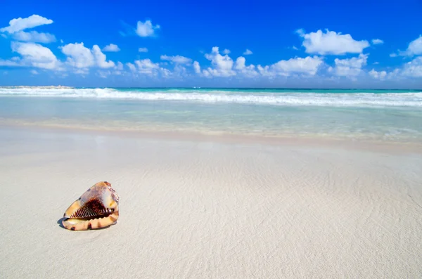 Praia e mar tropical — Fotografia de Stock